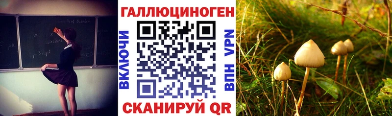 Галлюциногенные грибы GOLDEN TEACHER  наркотики  Шуя 
